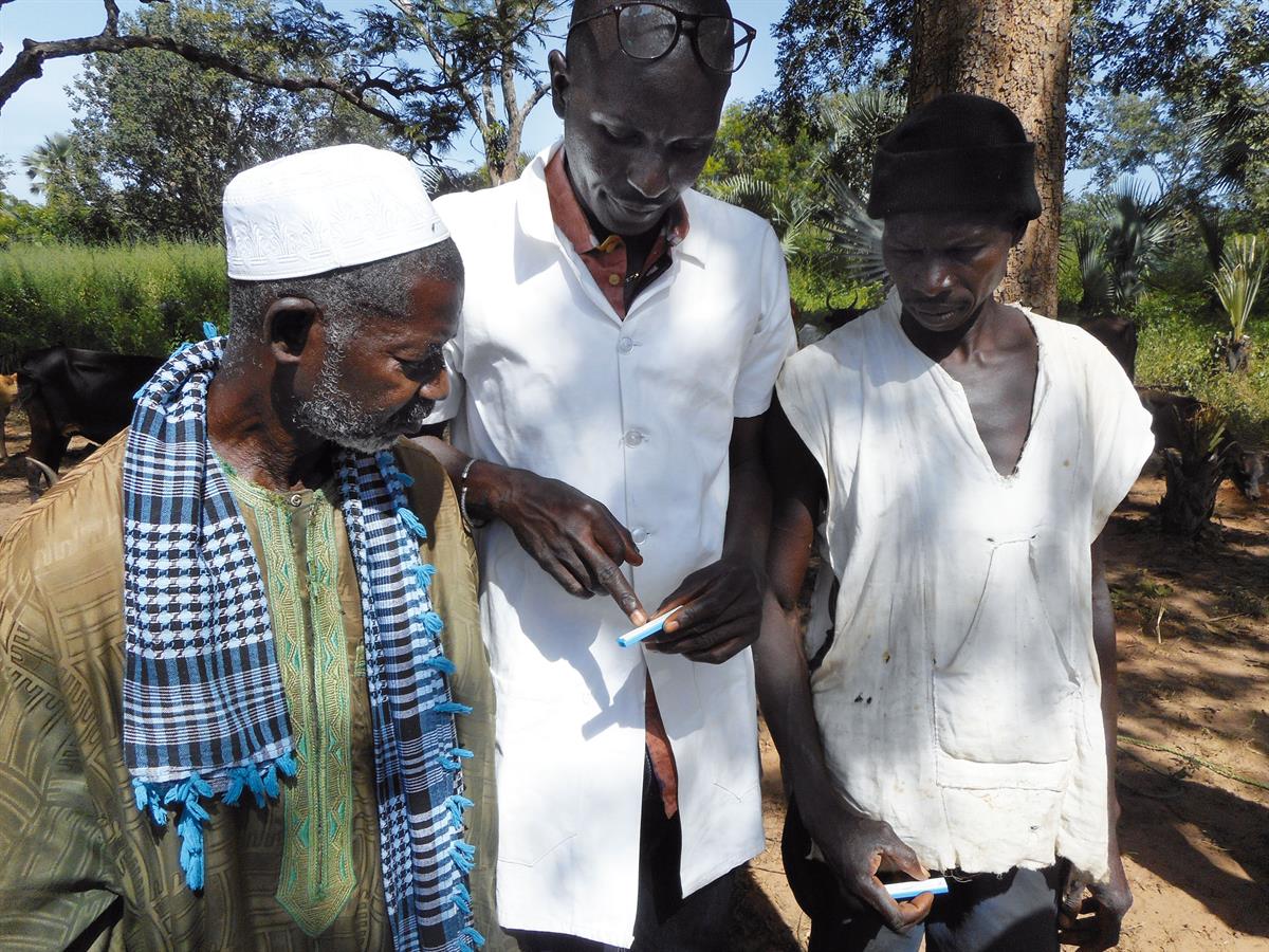 Sustained decline in sleeping sickness cases puts elimination within reach