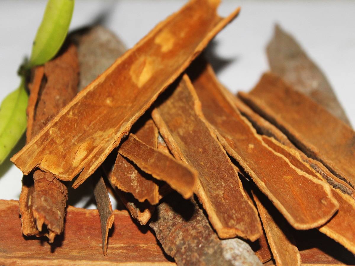 cinnamon for immunity: মহামারীর সময়ে রোগ প্রতিরোধ ক্ষমতা বাড়াতে দারুচিনির বিকল্প নেই! কী ভাবে খাবেন? সঠিক পদ্ধতি জানুন… – this is how cinnamon can boost your immunity in this time of pandemic