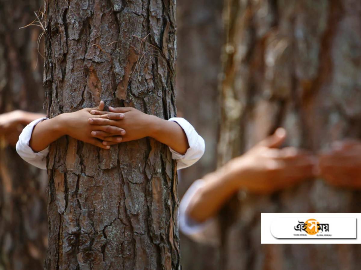 people of israel hug trees: করোনার মন খারাপ কাটাতে গাছকেই আলিঙ্গন করছেন ইজরায়েলের মানুষ! – people in israel hug trees to beat the coronavirus blues