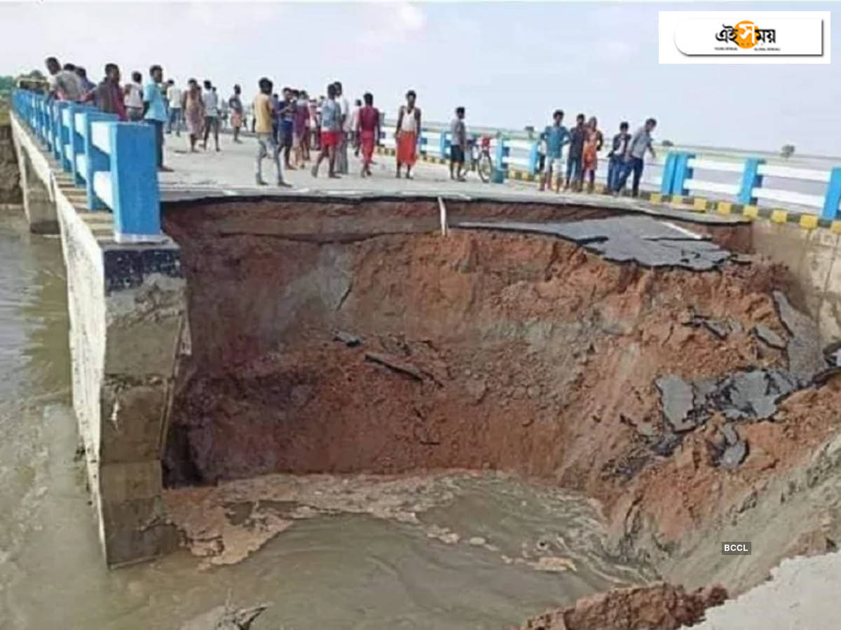 Bridge collapse: মুখ্যমন্ত্রীর উদ্বোধনের পর এক মাসও কাটল না, নদীর বুকে ভেঙে পড়ল ব্রিজ – inaugurated by nitish kumar barely month ago, bridge collapses into river