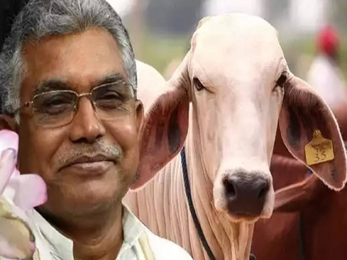Dilip Ghosh: ‘গোমূত্র খাই তাই ভালো থাকি-গাধারা এসব বুঝবে না!’ ফের পুরনো ‘ফর্মে’ দিলীপ – bjp state president dilip ghosh says about the importance of cow urine in durgapur