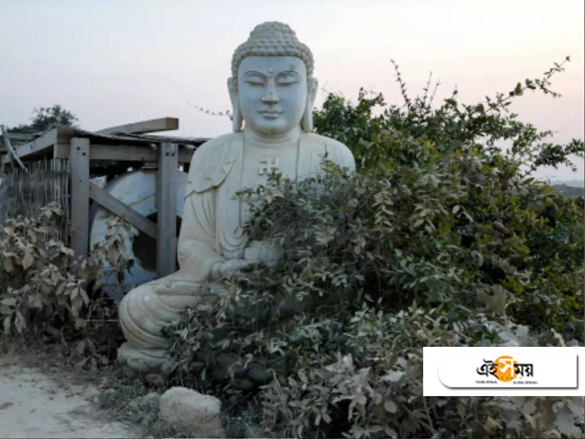 Buddha Statue Vandalised in Pakistan: গান্ধারা সভ্যতার নিদর্শন ১৭০০ বছর পুরনো বুদ্ধ মূর্তি ভেঙে গুঁড়িয়ে দেওয়া হল! – rare buddha statue nearly 1,700-year-old vandalised in pakistan’s mardan district