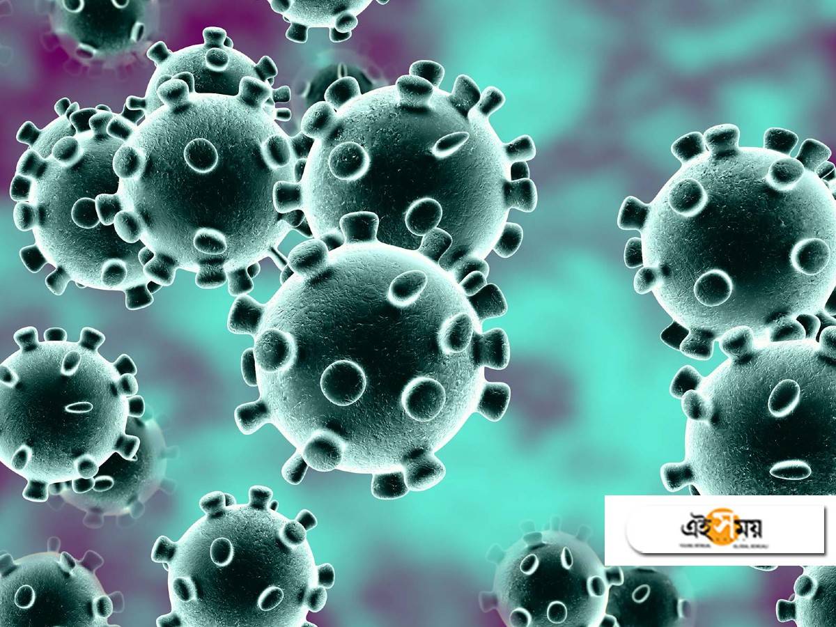 study on covid-19: বর্ষা ও শীতে পারদ কমার সঙ্গে চরমে উঠবে করোনা সংক্রমণ, জানালেন IIT ও AIIMS-এর গবেষকরা – a joint study by bhubaneswar iit and aiims has claimed that covid-19 spread may pick pace in monsoon, winters with drop in mercury