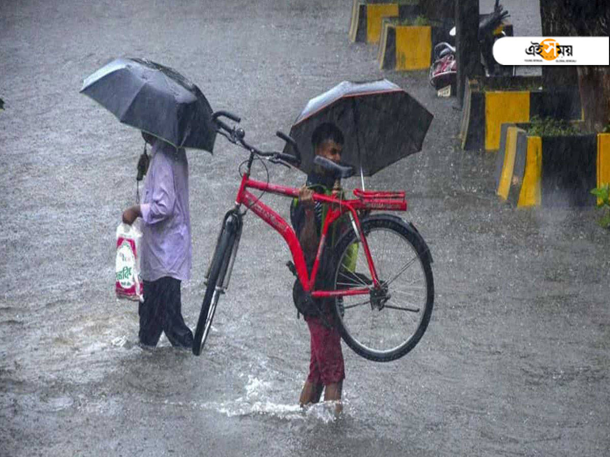 West Bengal Weather: টানা বৃষ্টিতে জলমগ্ন উত্তর, পাহাড়ি নদীগুলিতে জলস্তর বিপদসীমা ছাড়াতে পারে – West Bengal Weather Forecast: Heavy Rain And Thundershower Likely To Occur Over North Bengal
