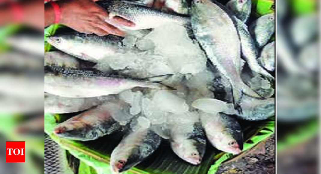 Kolkata: Hilsa still out of reach, mustard oil, chilli too hot to touch as rates go through roof | Kolkata News