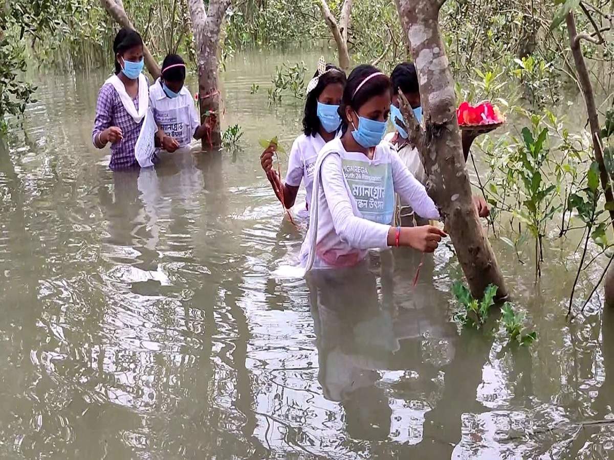students ties rakhi in tress: বেঁচে থাক বাদাবন, গাছেদের রাখি পরিয়ে সুন্দরবন রক্ষার অঙ্গীকার ছাত্রীদের! – raksha bandhan 2020: students in sundarban ties rakhi in tress
