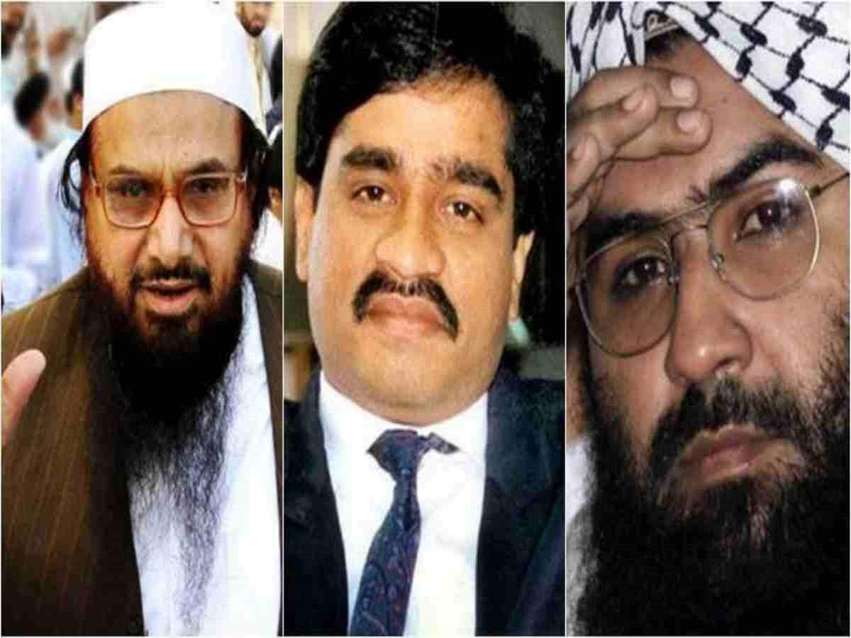 Pak terrorists: FATF-এর ধূসর তালিকা থেকে বেরোতে পাকিস্তানে নিষিদ্ধ ৮৮ জঙ্গি, সম্পত্তি ক্রোকের নির্দেশ – pakistan govt bans 88 new terrorists in bid to slip out of fatf’s grey list