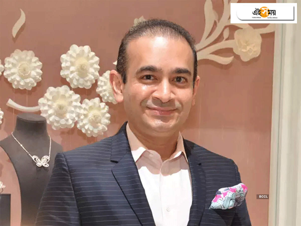 wife of nirav modi: টাকা নয়ছয়ের দায়ে এবার রেড কর্নার নোটিশ নীরব মোদীর স্ত্রীকেও – red corner notice against nirav modi’s wife in money-laundering cases