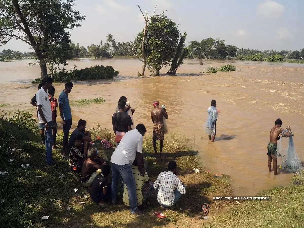 Odisha floods: ওডিশায় বন্যার কবলে ১৪ লাখ মানুষ, মৃত ১৭! ভাঙল ১০ হাজার বাড়ি – odisha floods: 17 dead, over 10,000 houses damaged, 14,32,701 people affected