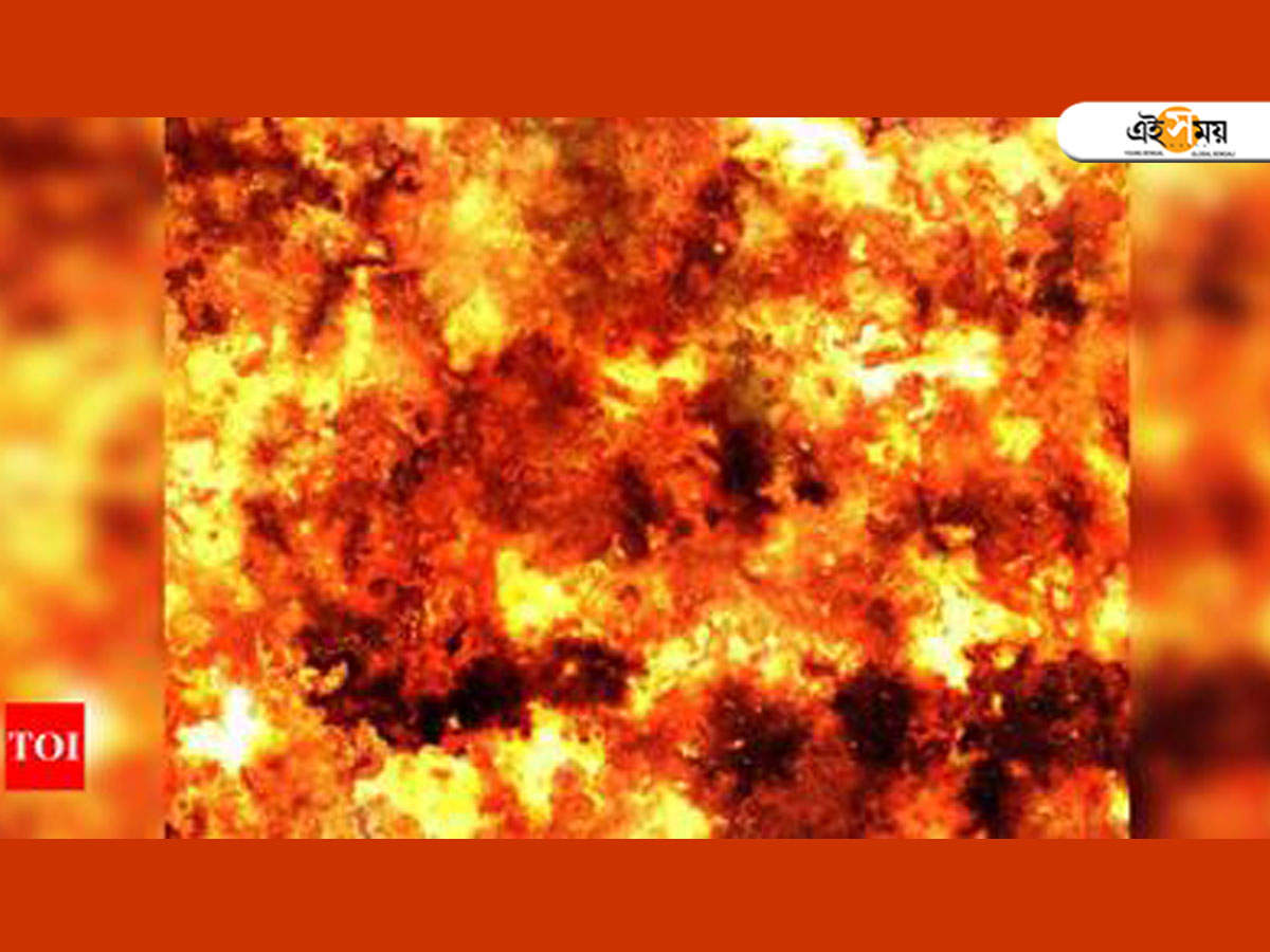 Tamil Nadu Factory Blast: তামিলনাড়ুর একটি আতসবাজি কারখানায় ভয়াবহ বিস্ফোরণ, মৃত ৫, আহত ১১ – Tamil Nadu: Explosion At Cracker Factory Kills 5