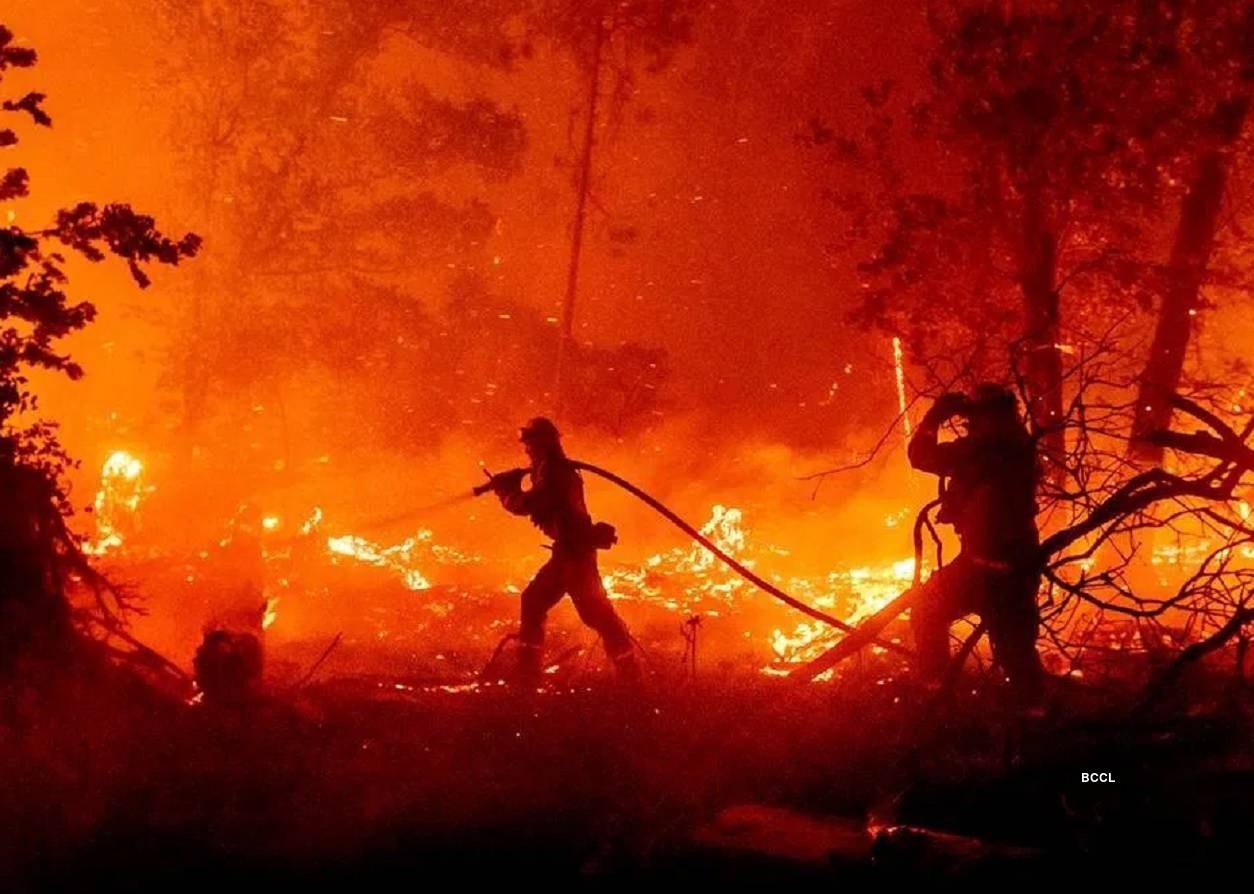California Wildfire Update: বিস্ফোরণে আরও ভয়ংকর ক্যালিফোর্নিয়ার দাবানল, দৈনিক আগুন ছড়াচ্ছে ২৫ মাইল! মৃত ১১ – Massive California Wildfire Explodes, Burning Across 25 Miles In Day; 3 Dead