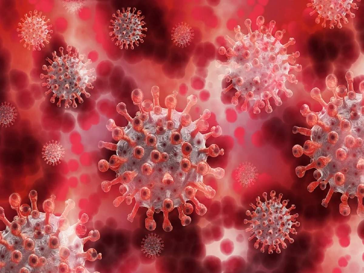 coronavirus: বাংলায় করোনায় মৃত্যু বেড়ে ৪ হাজার ছুঁইছুঁই; একদিনে আক্রান্ত আরও ৩,২০০+ – coronavirus: west bengal’s coronavirus tally crosses 2 lakh-mark after 3,215 new cases in last 24 hours