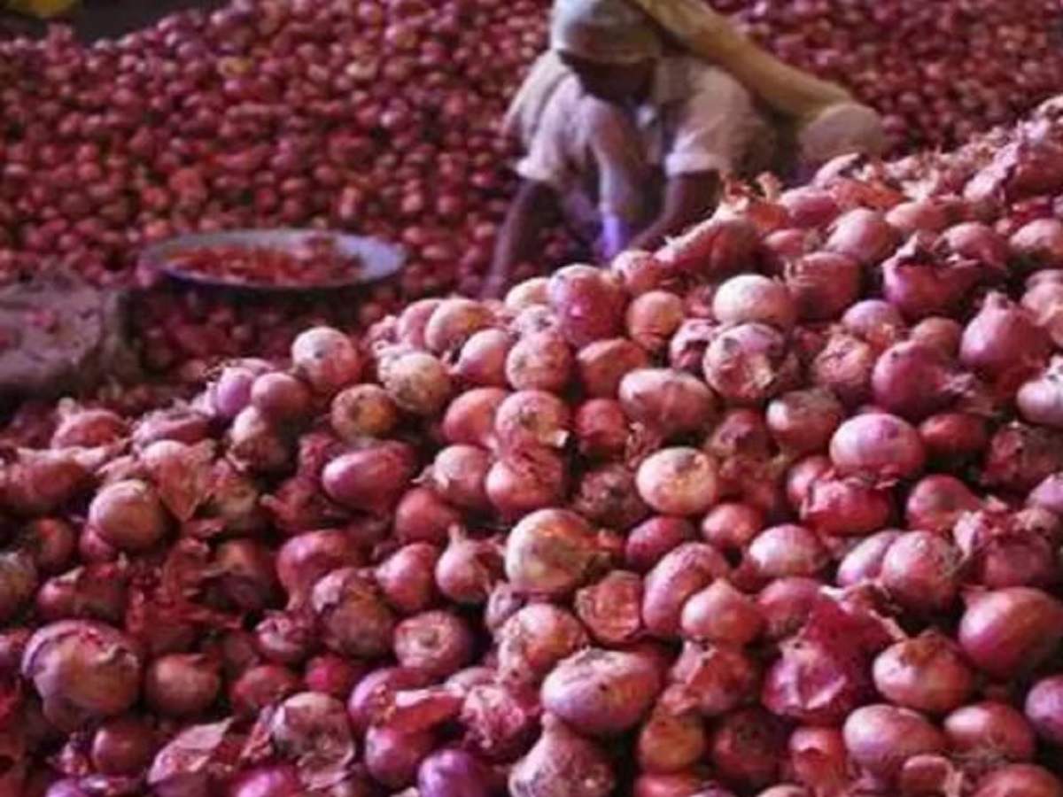 onions export banned: সব ধরনের পেঁয়াজের রফতানি বন্ধ করল কেন্দ্র – modi govt bans export of all varieties of onions with immediate effect