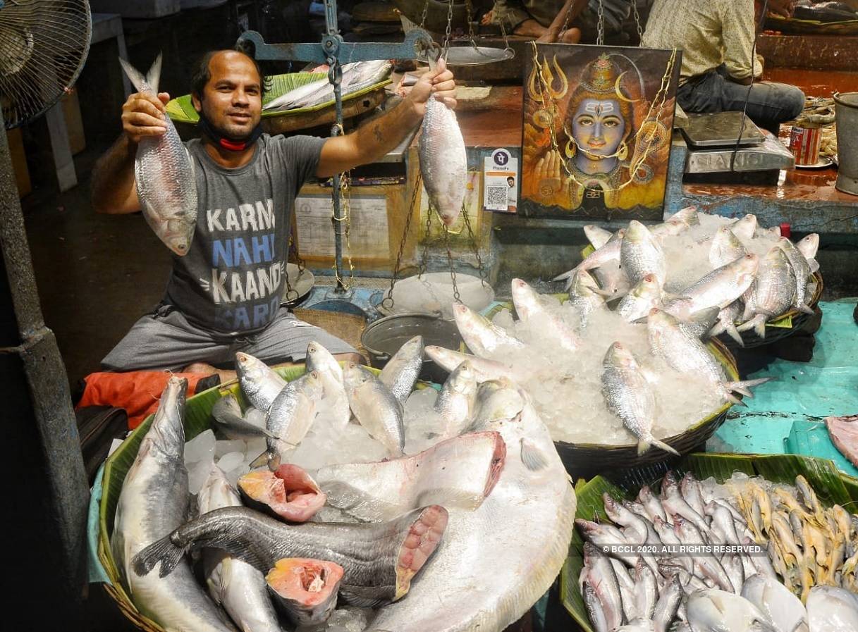 Hilsa fish: পদ্মার ইলিশ পেয়ে বঙ্গ বাজারে খুশির হাওয়া, চিন্তায় রাখছে দাম – hilsa fish from padma arrives in west bengal market