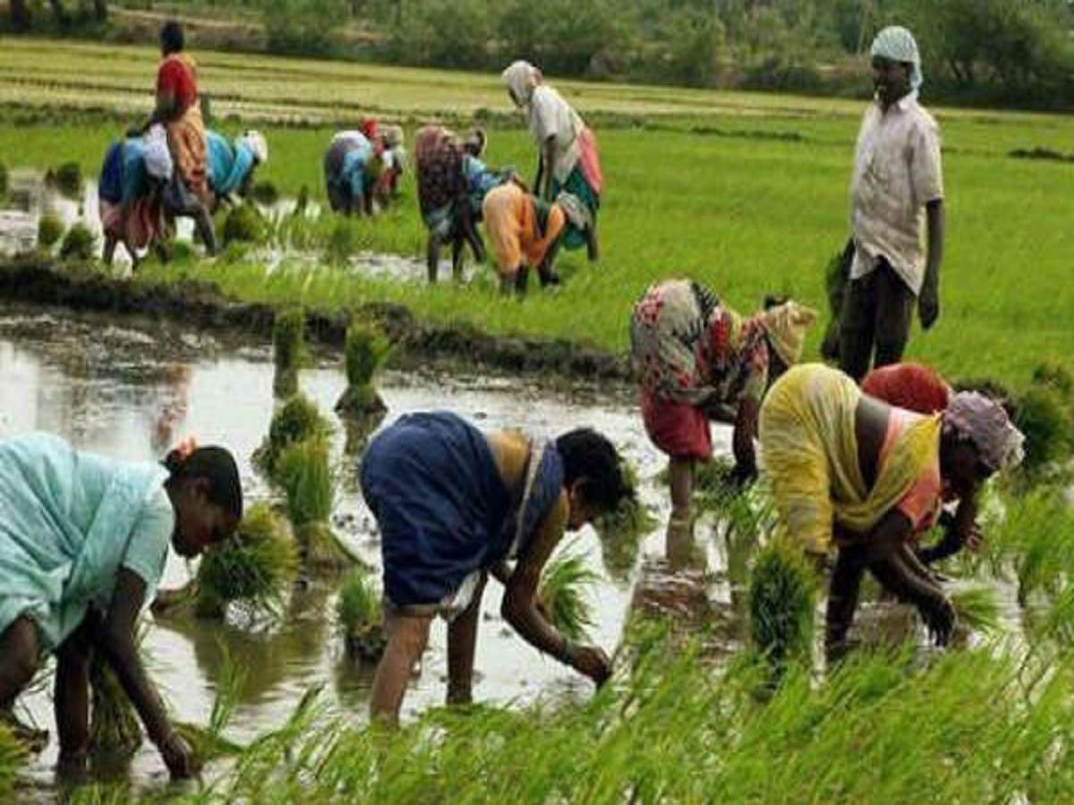 farm bills 2020: শরিক-বিরোধী বিক্ষোভই সার, ধ্বনিভোটে রাজ্যসভাতেও পাশ কৃষিবিল! – rajya sabha passes farm bills 2020 amid protest by opposition mps