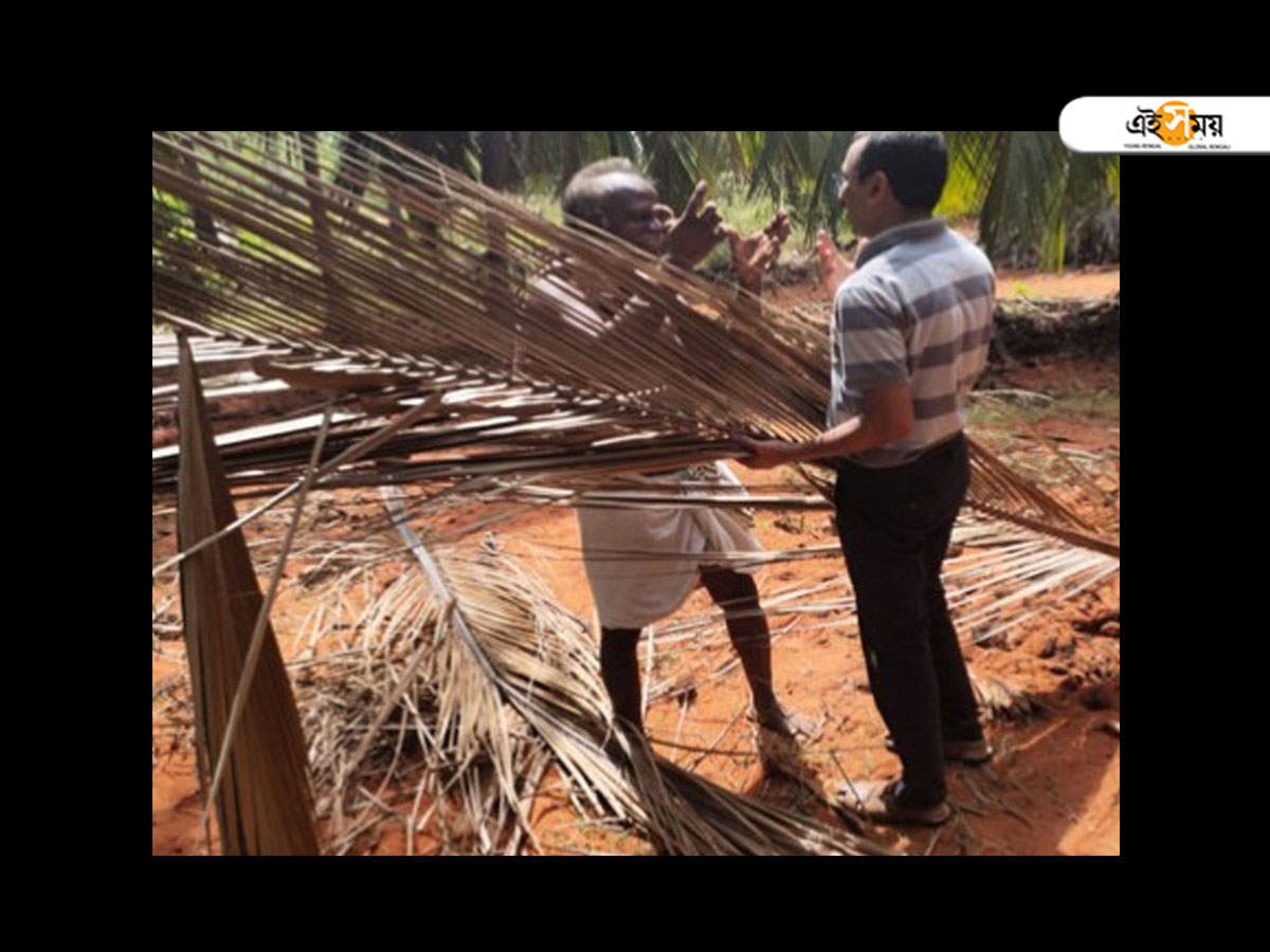 Straw from coconut leaf: নারকেল গাছের পাতা থেকে স্ট্র বানিয়ে ২৫ দেশে হিট, পথ দেখাচ্ছেন ইংরেজির এই অধ্যাপক! – english professor in bengaluru innovates straw from coconut leaf, exports to 25 countries