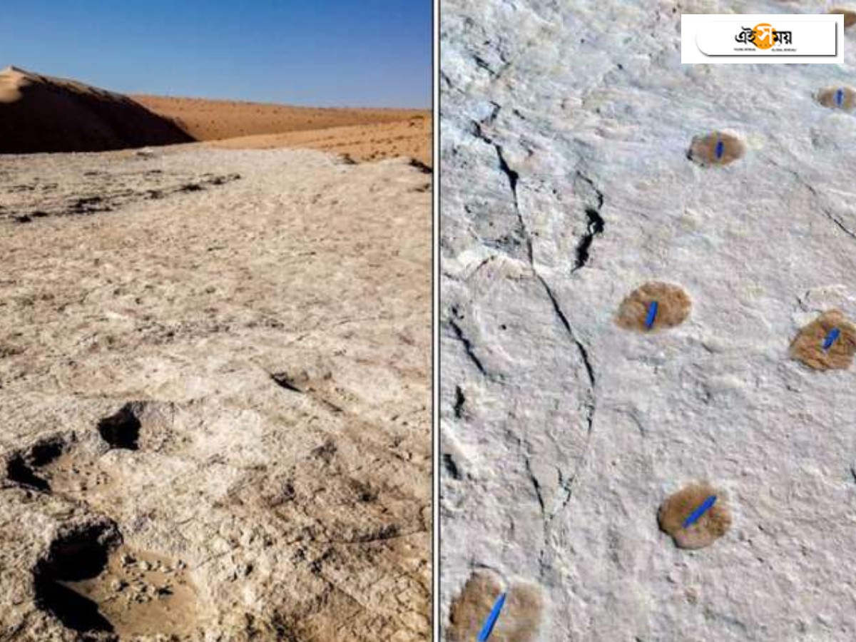 Human footprints: সৌদি আরবে মিলল ১২০,০০০ বছরের পুরনো মানুষের পায়ের ছাপ – human footprints dating back 120,000 years found in saudi arabia