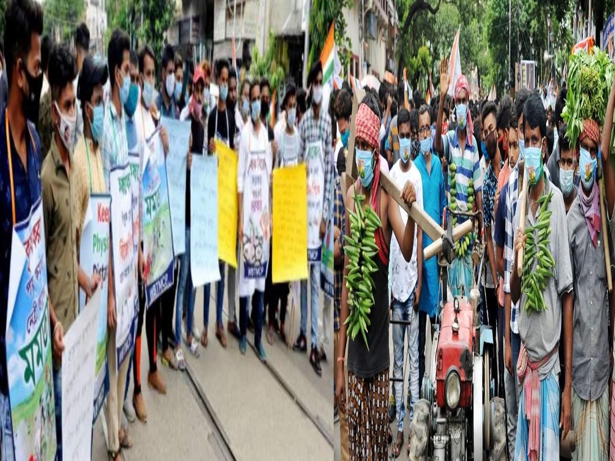 agriculture bill 2020: কথা অনুযায়ী কাজ, কৃষিবিলের বিরুদ্ধে পথে নামল পড়ুয়ারা! সামিল চাষিরাও – tmcp shows protest against agriculture bill 2020 in kolkata