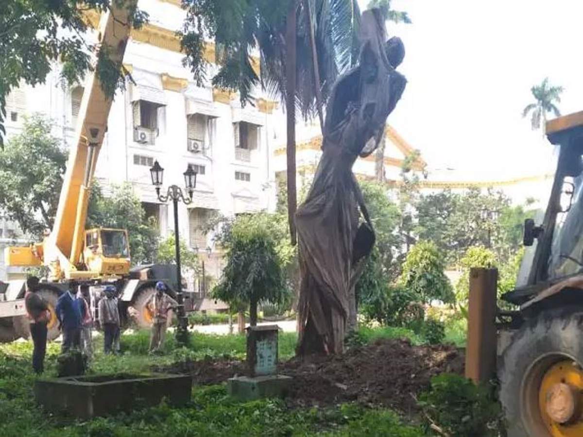 East west metro kolkata: ঠিকানা বদল, রাইটার্স বিল্ডিং থেকে এখন রাজভবনে ৩০ বছরের ‘রাধাচূড়া’! – 30-year-old tree finds new home at raj bhawan in kolkata