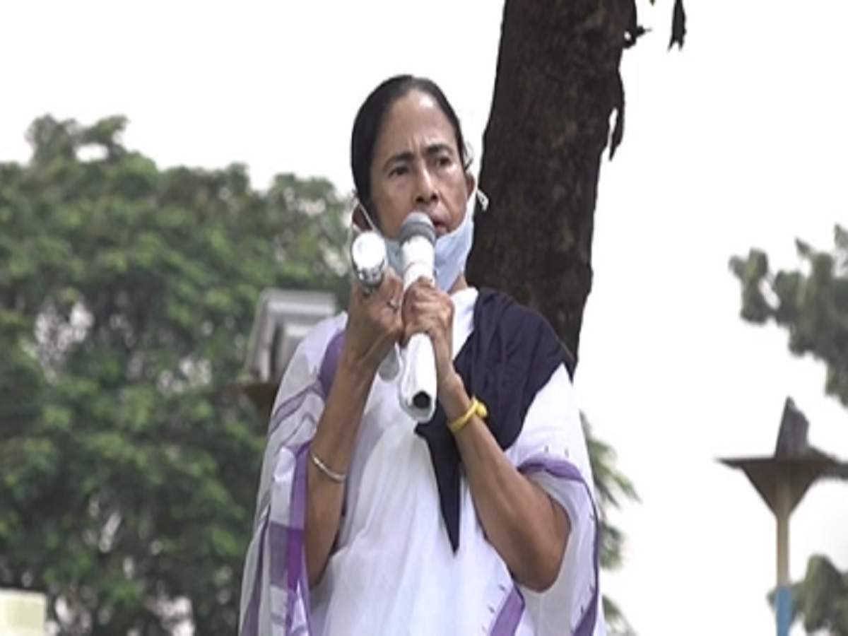 Mamata Benerjee: ‘ভারতে গণতন্ত্র বলে কিছু নেই, ভাষণ-দাঙ্গাবাজির সরকার চলছে!’ পথে প্রতিবাদ মমতার – west bengal cm mamata benerjee attacked bjp government on hathras case